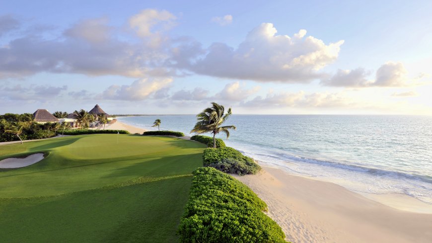 风景 水 海 美柯 高尔夫球场 棕榈树 沙子 草地 房屋 田野 云层 地平线 阳光 多风 海滩