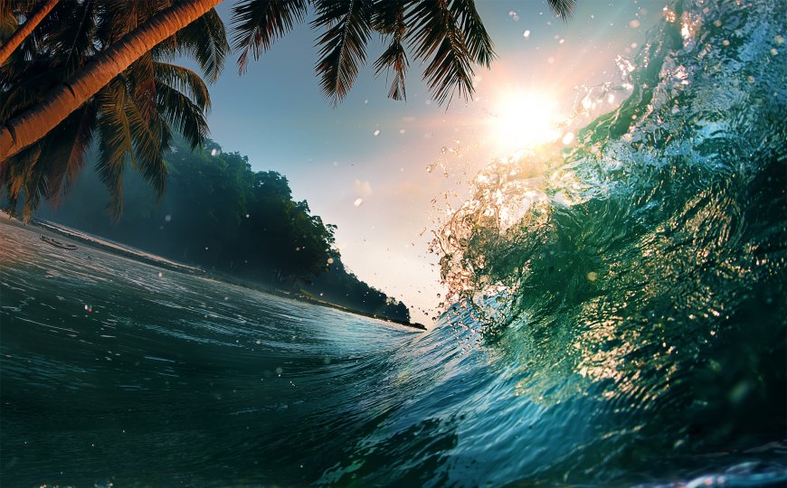 海浪 棕榈树 水 自然 阳光