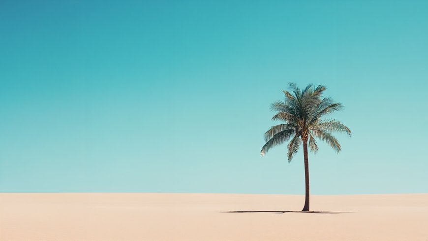 沙漠椰树风景美图壁纸