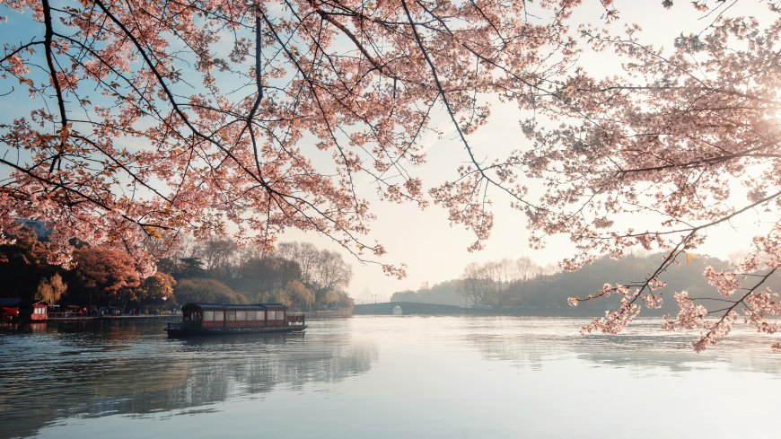 春天 湖畔 樱花 游船 湖泊 水面 倒影 4K壁纸