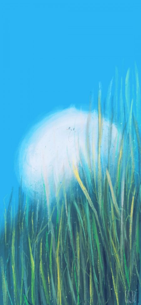 草丛白色毛球生物插画手机壁纸