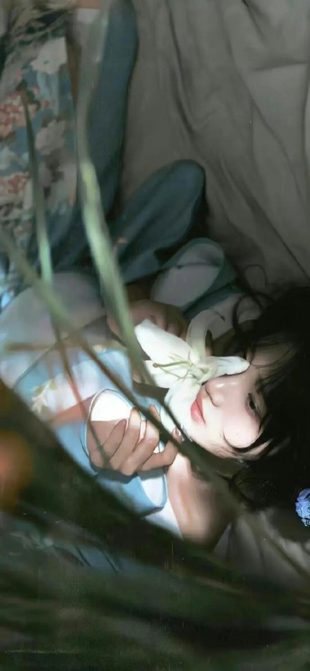 持花侧卧人物插画壁纸