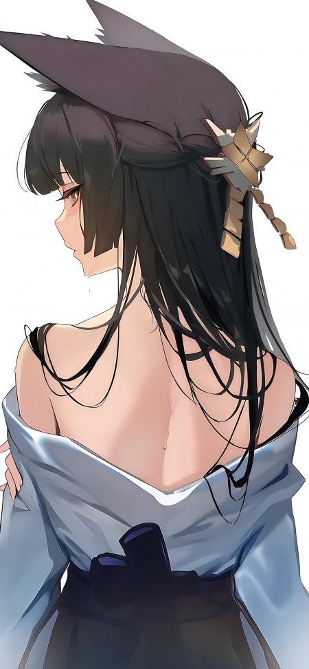 黑长直兽耳动漫少女插画壁纸