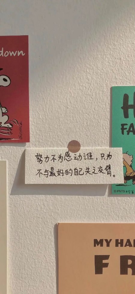 励志文字 “努力不为感动谁” 墙面装饰壁纸
