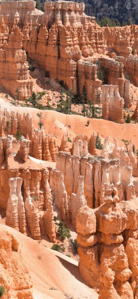 布赖斯峡谷橙色岩柱地貌摄影壁纸