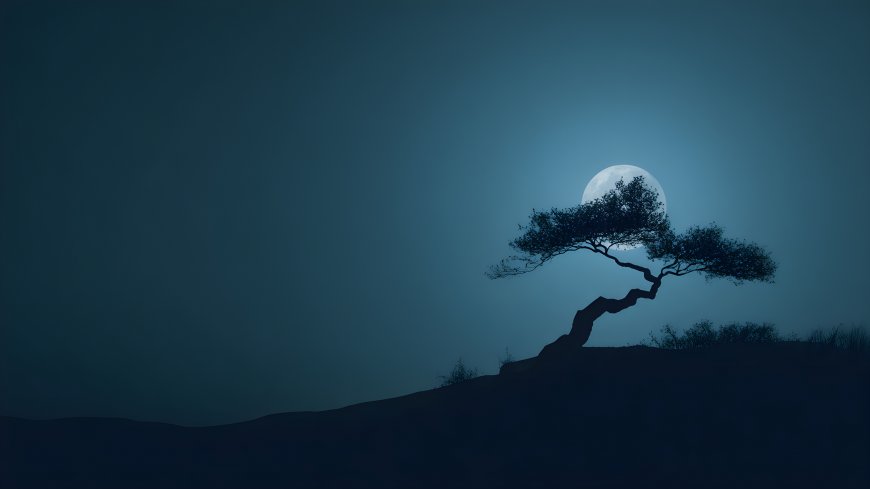 月夜孤树剪影意境风电脑壁纸