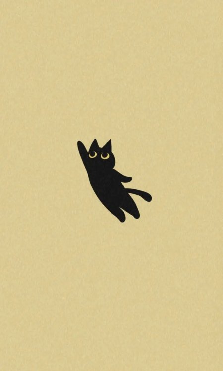 简约黑猫咪手机壁纸