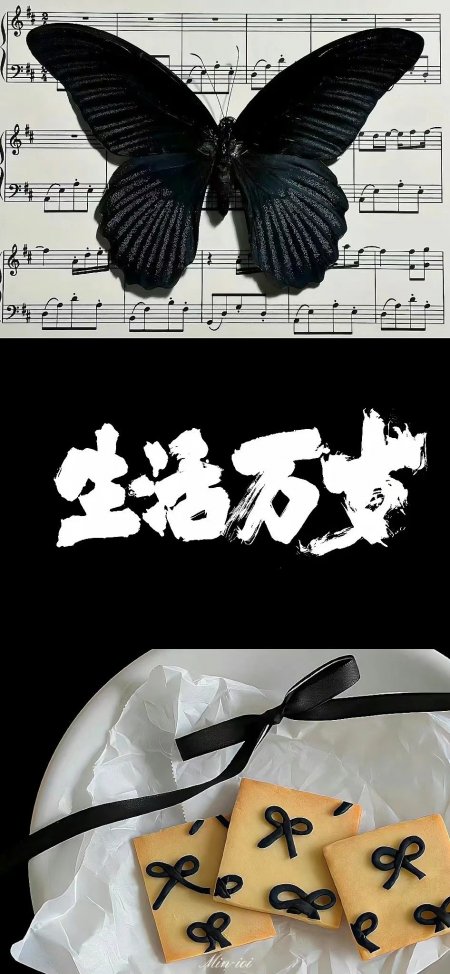 黑蝴蝶与文字手机壁纸