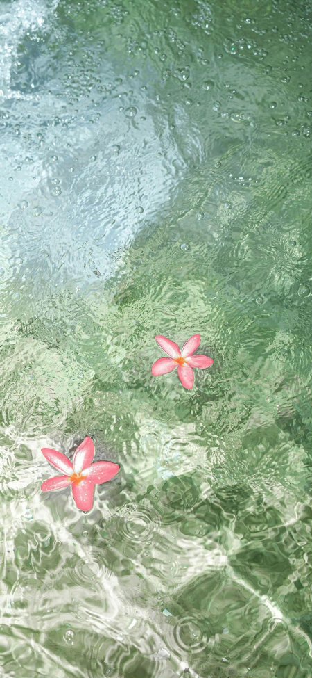 绿水粉花清新治愈系自然风景手机壁纸