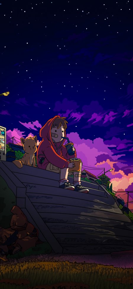 夜晚星空少年猫咪动漫手机壁纸