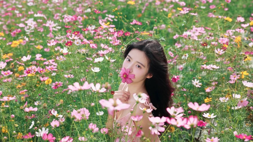 花海少女粉色花朵田园写真壁纸