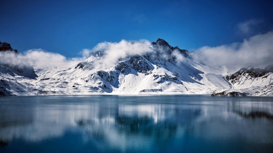 绿发戴眼镜武士双刀血迹电脑壁纸