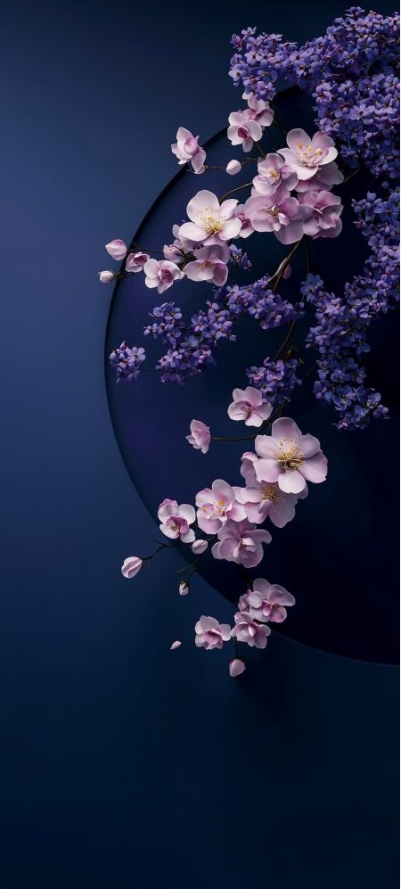深蓝背景紫粉花卉优雅梦幻风格手机壁纸