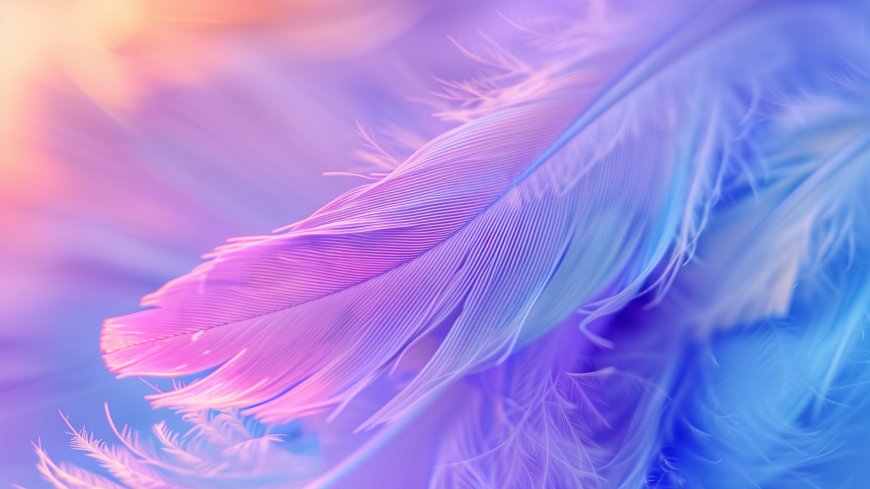 梦幻彩虹羽毛细腻纹理柔和色彩电脑壁纸