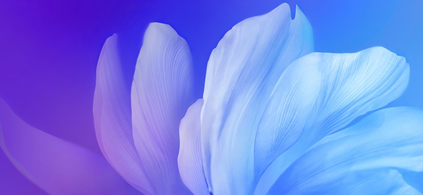 渐变蓝紫花瓣艺术渲染电脑壁纸