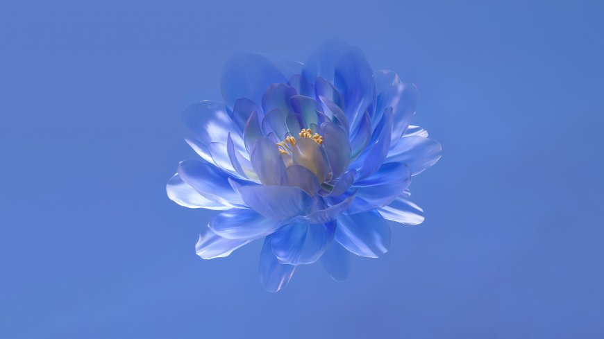 蓝色透明莲花渐变光影梦幻效果电脑壁纸