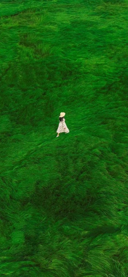 绿野仙踪少女漫步草原手机壁纸