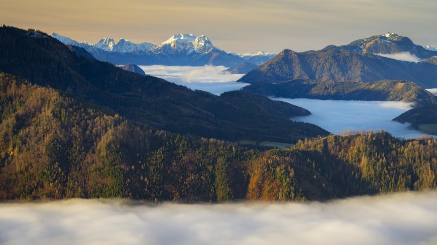 阿尔卑斯山脉秋日森林云海雪山层叠自然风光电脑壁纸