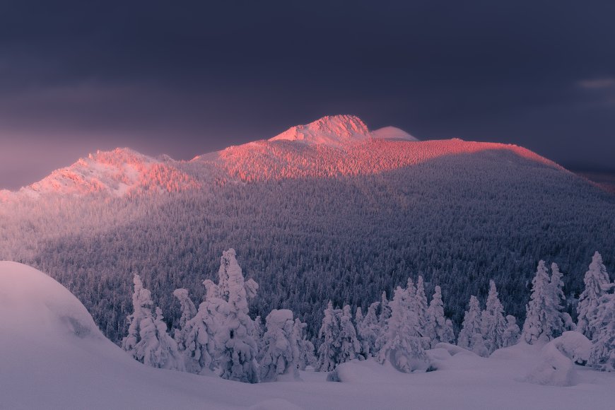 北欧冬季雪原粉红晨光覆盖山峰松林静谧风景电脑壁纸
