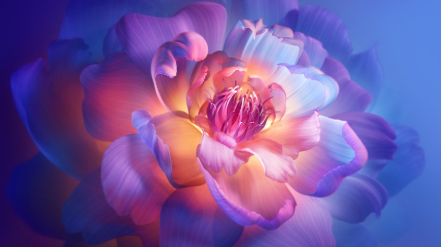 梦幻紫蓝渐变牡丹花绽放高清电脑壁纸