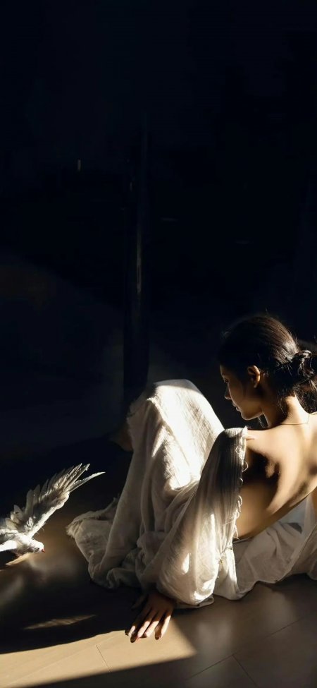 白衣女子侧坐光影中白鸽飞舞手机壁纸