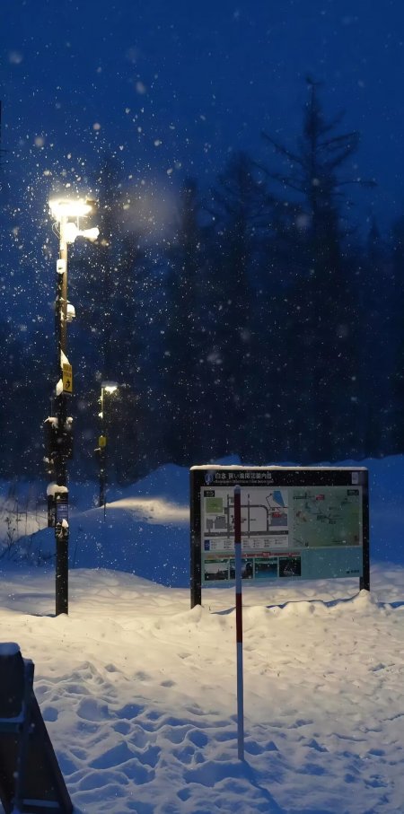 北海道白金青池雪夜路灯导览图手机壁纸
