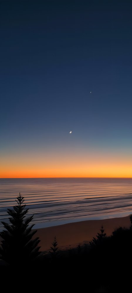 海边日落双月悬空剪影松树手机壁纸
