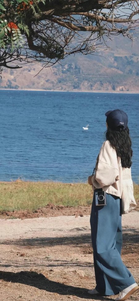 湖边树下女孩戴POLO帽持相机眺望海鸥手机壁纸