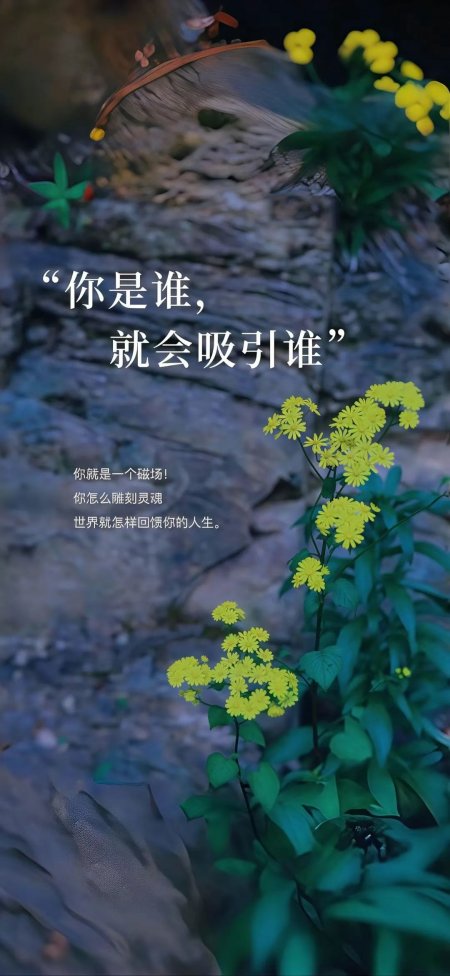 黄花绿叶石壁背景励志语录手机壁纸