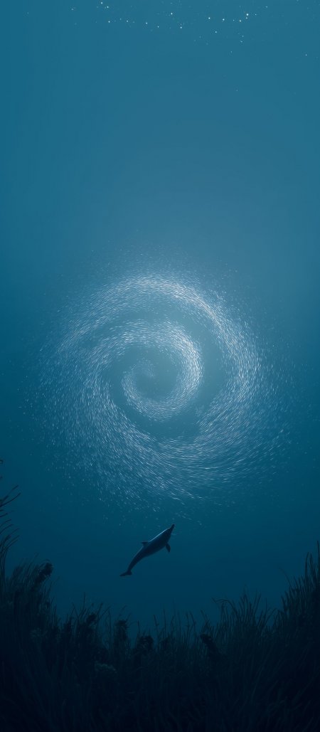 深海漩涡光斑海豚游弋手机壁纸