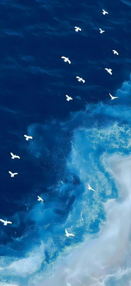 深蓝海面白鸥翱翔浪花飞溅手机壁纸