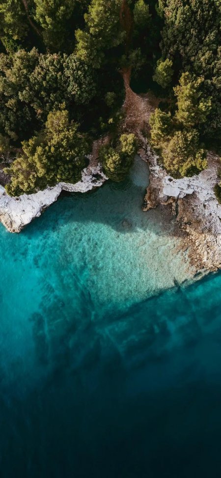 地中海海岸森林悬崖俯瞰清澈碧蓝海水手机壁纸