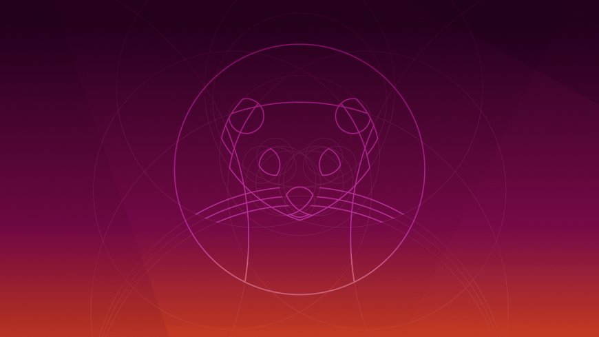 Ubuntu官方吉祥物浣熊线条艺术渐变紫红背景创意电脑壁纸