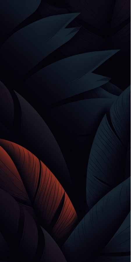 深色热带植物叶片暗黑风格插画艺术手机壁纸
