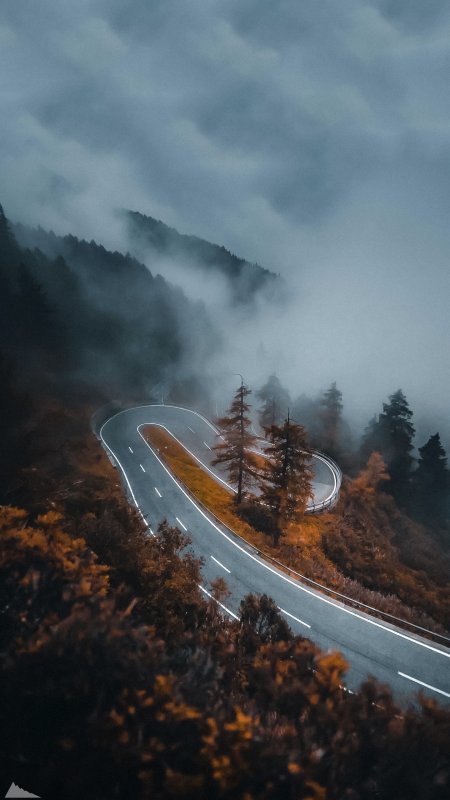 雾中山路S形弯道秋林云海风景手机壁纸