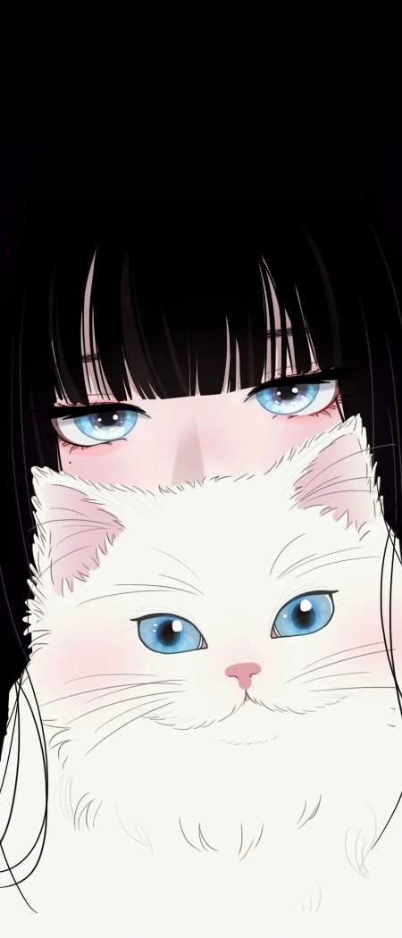 黑发蓝眼少女怀抱白猫插画手机壁纸