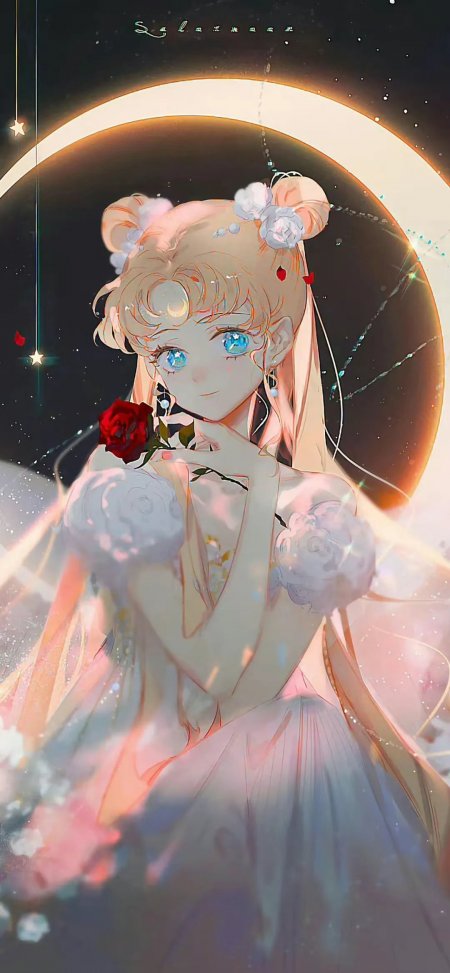 美少女战士月野兔持红玫瑰星空月环背景手机壁纸