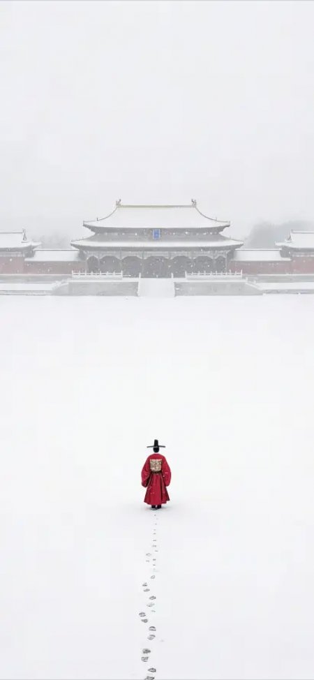 影视张居正上朝背影手机壁纸