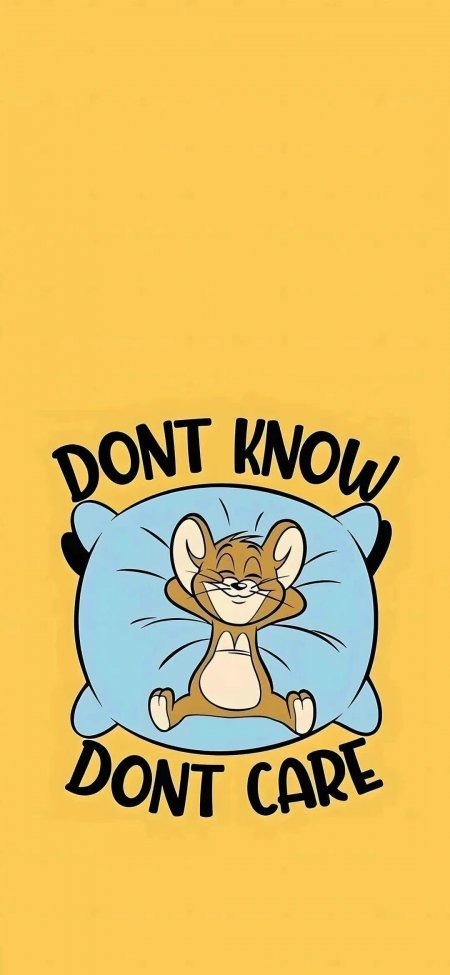 猫和老鼠杰瑞躺枕休息DONT KNOW DONT CARE手机壁纸