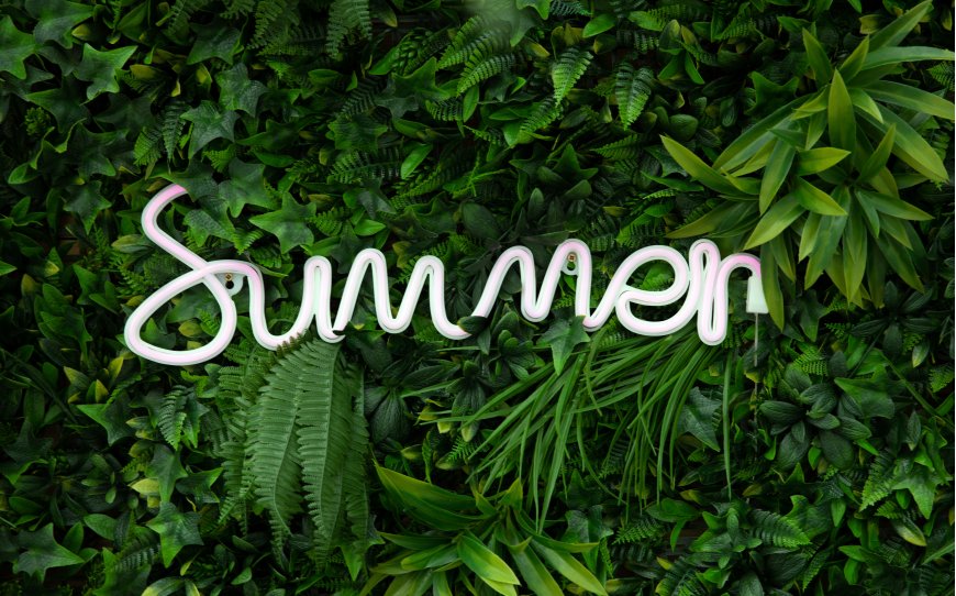 夏日霓虹灯Summer字样绿植墙背景科技电脑壁纸