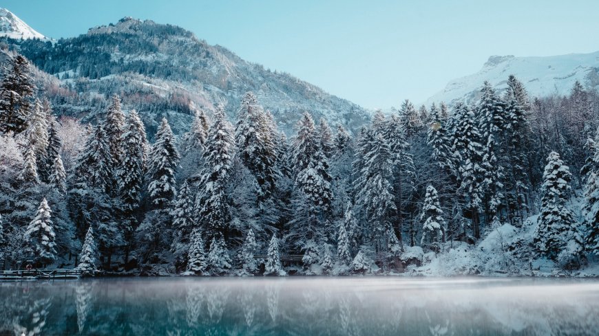雪山湖泊雪松倒影冬季风光风景电脑壁纸