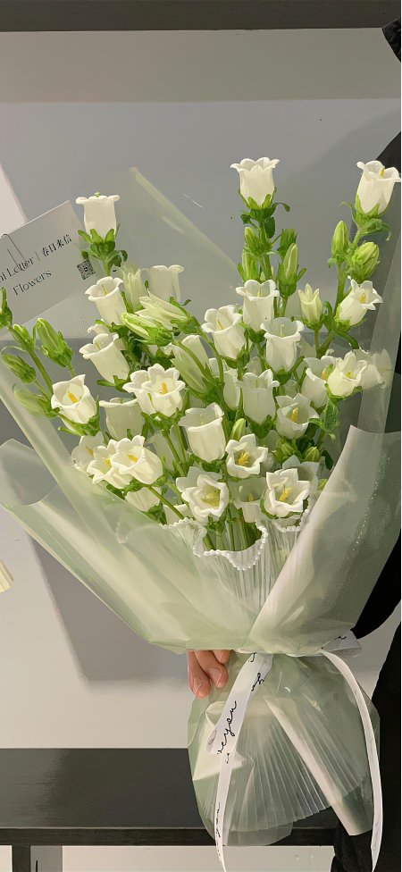 手捧白色风铃花束清新花艺特写手机壁纸