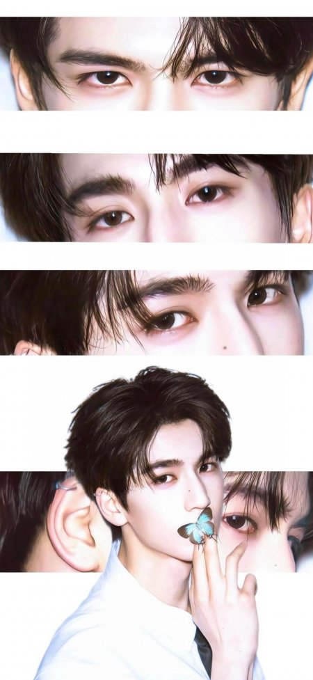 张凌赫眼部特写与蝴蝶互动创意人物手机壁纸