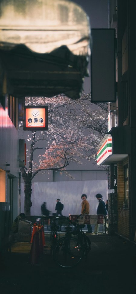 吉野家招牌与樱花树夜景日式街头氛围风景手机壁纸