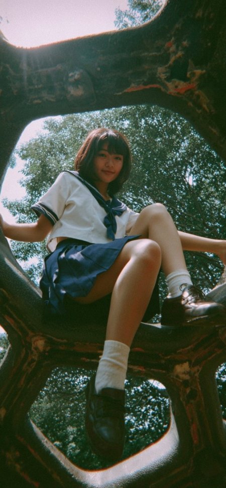 水手服少女树洞中静坐阳光洒落清新自然人物手机壁纸