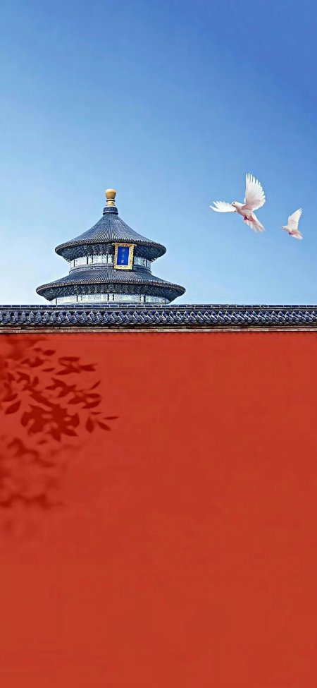 北京天坛祈年殿红墙白鸽飞翔人文风景手机壁纸