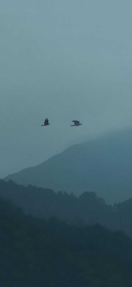 双鸟飞越青黛色层叠山峦意境风景手机壁纸