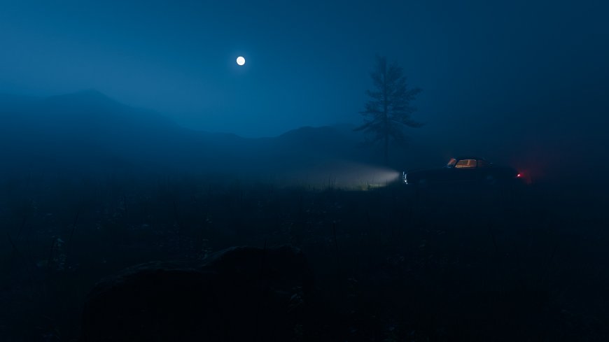 月夜下汽车车灯照亮荒野草地风景电脑壁纸