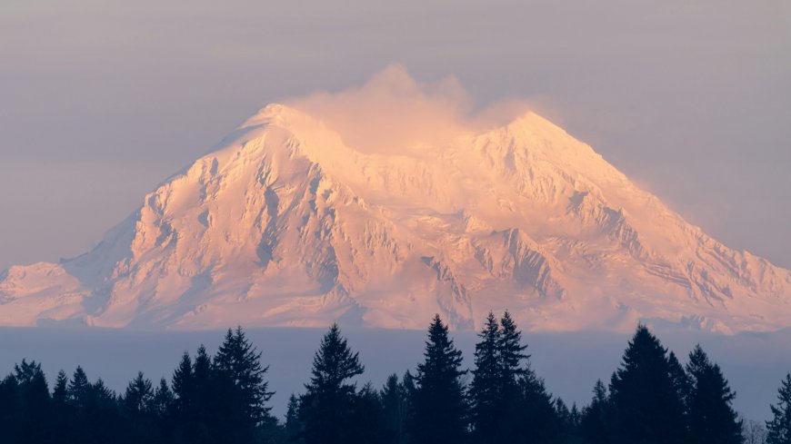 雷尼尔山日照金山雪顶森林剪影风景电脑壁纸