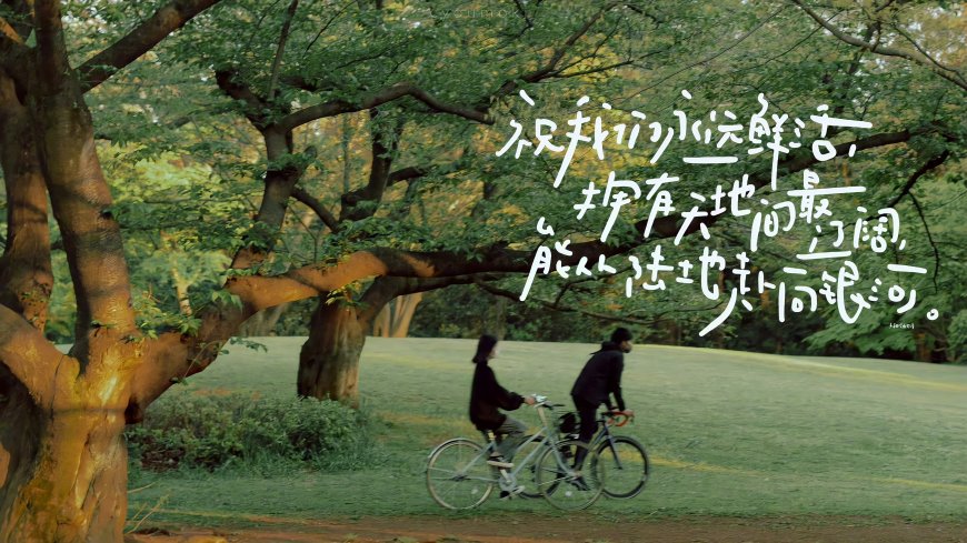 两人骑车穿行树林祝我们永远鲜活文字风景电脑壁纸